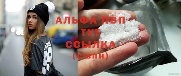 сатива Гусь-Хрустальный