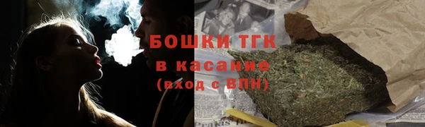 мяу мяу мука Горно-Алтайск