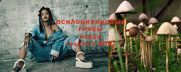 мяу мяу мука Горно-Алтайск