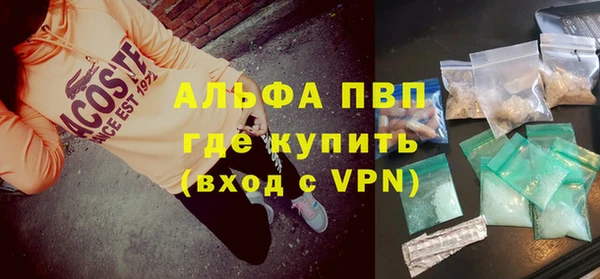 сатива Гусь-Хрустальный