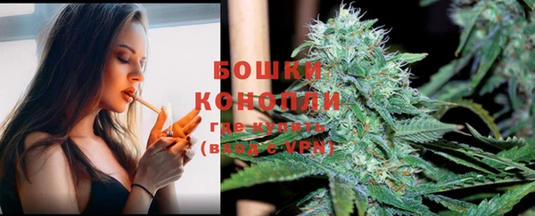МДПВ Горнозаводск