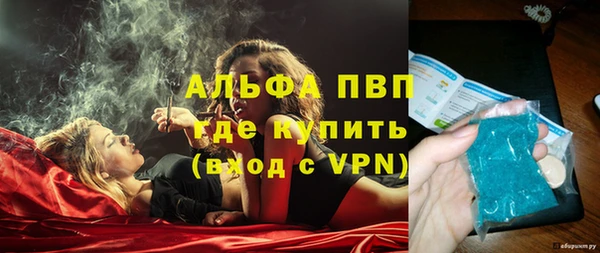 мяу мяу мука Горно-Алтайск