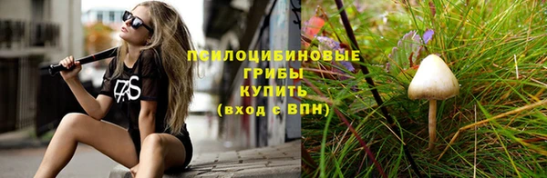 мяу мяу мука Горно-Алтайск