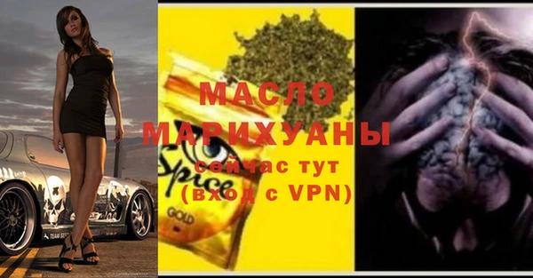 первитин Гусев